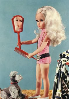 a doll holding a brush and comb next to a dog on the ground with a mirror in it