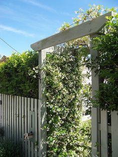 a white gate with vines growing over it