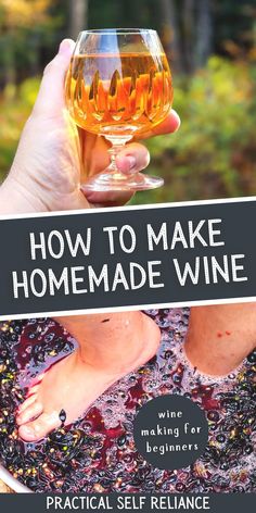 a person holding a wine glass with the words how to make homemade wine on it