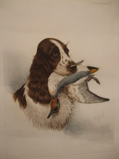 a drawing of a dog holding a fish in its mouth