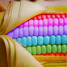 colorful corn on the cob is shown in this image