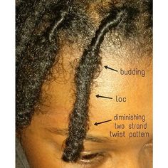 Starter Loc Breakdown at 28 weeks. Locs Journey Progress, 2 Months Loc Journey, Budding Stage Locs, 1 Month Starter Locs, 1 Month Locs, 1 Month Loc Journey, Budding Phase Locs, Locs Budding Stage, Loc Budding Stage