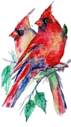 watercolor painting of two red birds sitting on top of a branch with green leaves