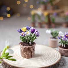 small crocheted potted plants sitting on top of a tree stump with flowers in them