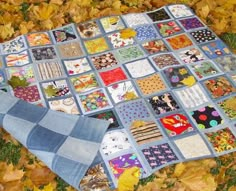 a patchwork quilt is laying on the ground with leaves around it and there are many different patterns