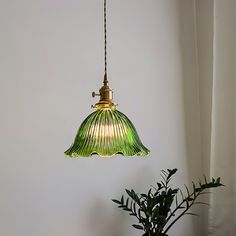 a green lamp hanging from a ceiling next to a potted plant on a table