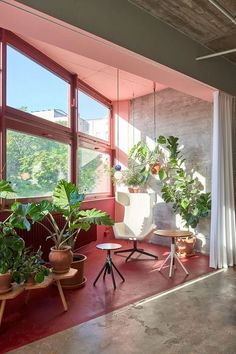 a room filled with lots of potted plants next to large windows on the wall