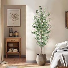 a bedroom with a bed and a plant on the floor in front of a window