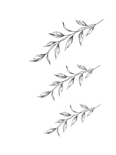 three branches with leaves drawn in black and white