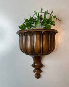 a potted plant is hanging on the wall