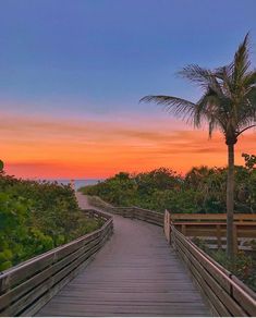 a wooden walkway leading to the beach at sunset with palm trees on either side and an ocean in the distance