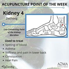 #TipTuesday: #Acupuncture Point of the Week, Kidney 4  #chinesemedicine #acupunctureschool Reflexology Points, Medicine Packaging, Acupressure Massage, Alternative Healing, Traditional Chinese Medicine