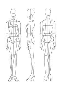 three female mannequins are shown in the shape of an torso and back