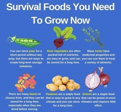 a blue poster with an image of various foods you need to grow now