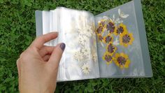 a hand is holding an open book on the grass with flowers painted on it,