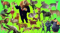 an image of many different animals on a green background