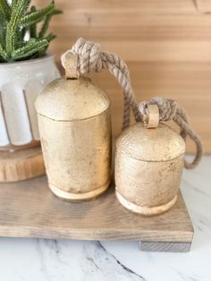 two small brass containers on a wooden tray next to a potted plant and rope