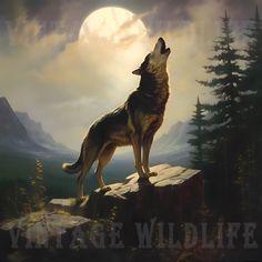 a painting of a wolf standing on top of a rock