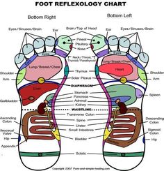 rounded Healthy Holistic Living, Reflexology, Acupressure, Health Info, Alternative Medicine