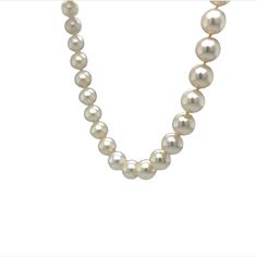 This classic strand of Japanese Akoya cultured pearls is a staple in any womans collection. The pearls have a cream-colored luster with a flash of light pink. The pearls measure 7.5 mm in diameter and the strand measures 17 inches long. The clasp is 14 karat yellow gold free form disk with a safety closure. A vintage treasure with timeless appeal. A lovely gift for you or your loved one. Flash Of Light, Metal Shop, Akoya Pearls, Shop Engagement Rings, Cultured Pearls, Shop Necklaces, Lovely Gift, Shop Earrings, Ring Shopping