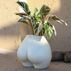 a white vase with a plant in it sitting on the ground next to a wall