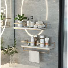 a bathroom with two shelves holding various items