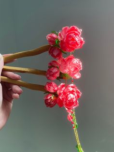 a person is holding some flowers with chopsticks in their hand and they are being held up by two fingers