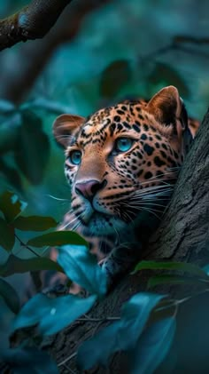 a close up of a leopard on a tree branch with leaves in the foreground