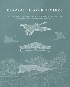 the cover of biometric architecture includes an image of birds flying over water and trees