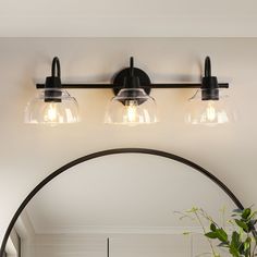 a bathroom light with three lights on the wall above it and a potted plant