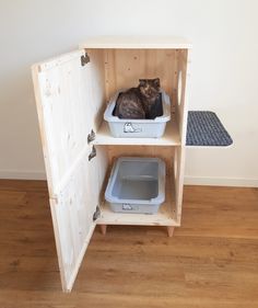 a cat sitting in a litter box on top of a wooden shelf next to a door