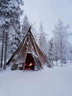 a teepee in the middle of a snowy forest