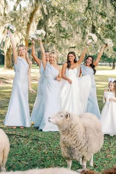 a group of women in white dresses standing next to each other with sheep and trees behind them