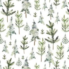 watercolor christmas trees on white background