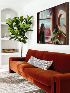 a living room with a couch, potted plant and pictures on the wall above it