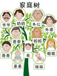 a family tree with chinese characters on it