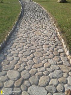 there is a cat that is walking down the stone path