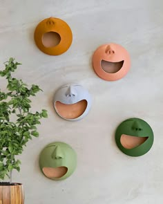 four different shapes of wall hangings on a wall next to a potted plant