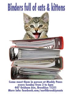 a poster with a cat sticking its head out from a pile of papers on top of each other