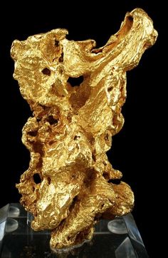 While gold is normally beautiful, this specimen is truly spectacular! Gold Specimens, Black Pinterest, Minerals Crystals Rocks, Gold Money, Gold Mine, Gold Bullion, Gold Mining, Gold Nugget, Spring Jewelry