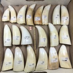 a box filled with lots of white surfboards