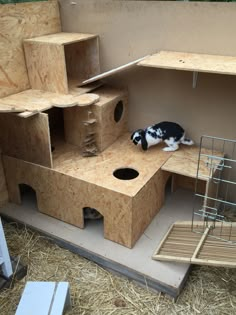 a small black and white cat laying on top of a wooden structure next to hay