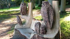 three owls sitting on top of a wooden bench in the woods with trees behind them