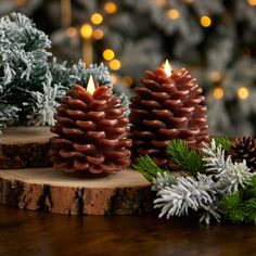 three pine cones sitting on top of a wooden table next to evergreen branches and christmas lights