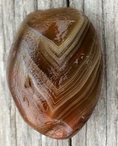 a piece of wood that has some kind of brown substance on top of it,