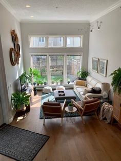 a living room filled with lots of furniture and plants on top of windowsills