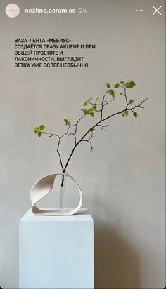 a white vase with some green leaves in it on top of a table next to a wall