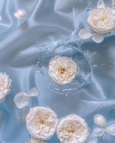 several white flowers floating in water on a blue satin background with drops of water around them