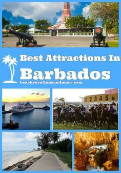 the best attractions in barbados, cuba with pictures of boats and people on horseback