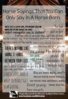 horse sayings that you can only say in a horse barn